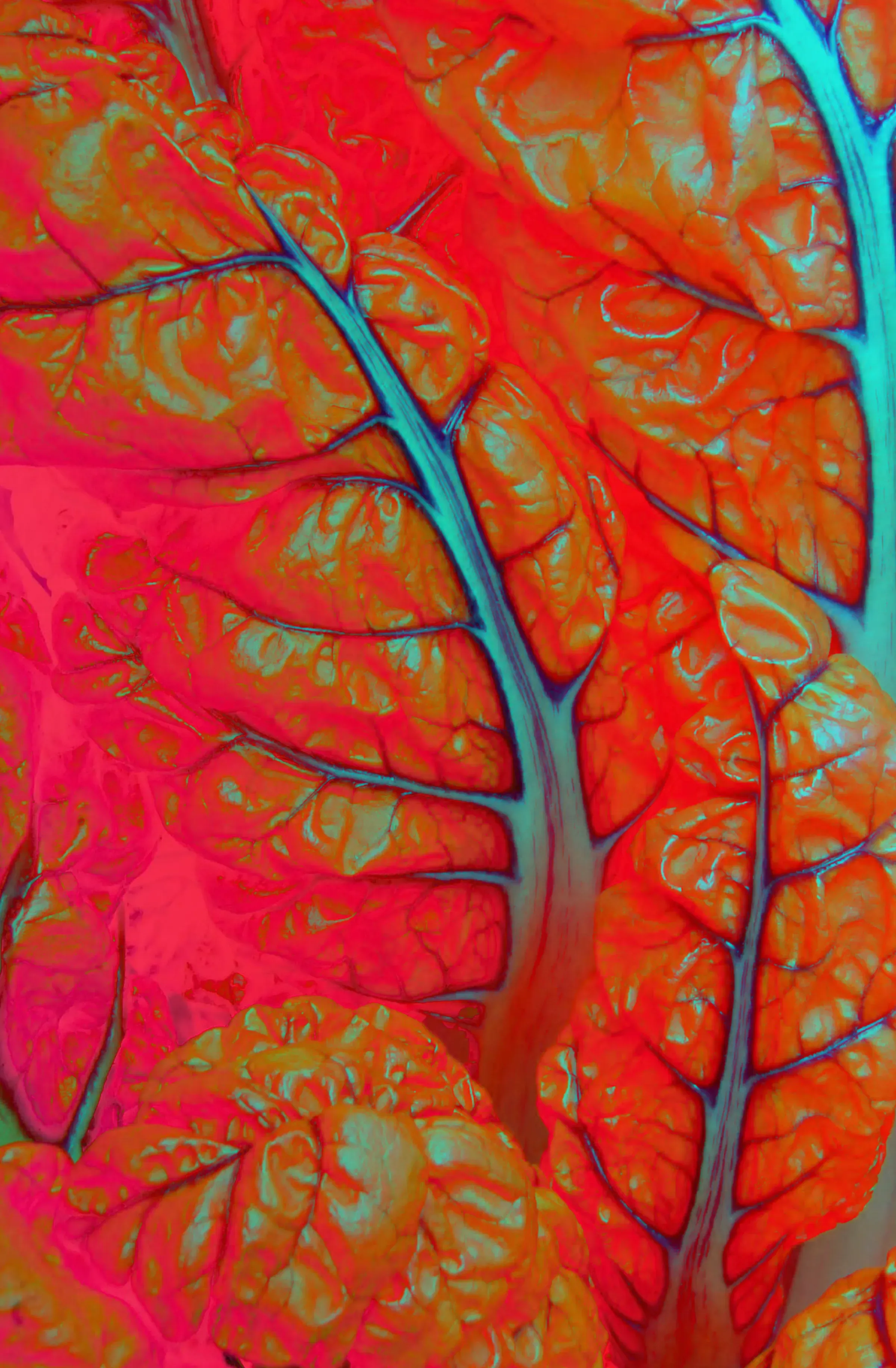Reducing Environmental Impact: Technology for Plant Growers