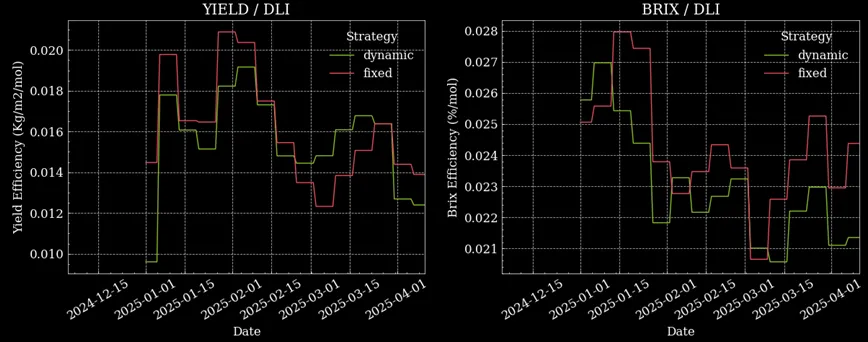 Figure 2. Left: Yield efficiency (kg/m2/mol) from December to April in dynamic (green) and fixed strategies. Right: BRIX / DLI (/mol) from December to April in dynamic (green) and fixed strategies. Fixed strategy generated 5% more brix per mol.