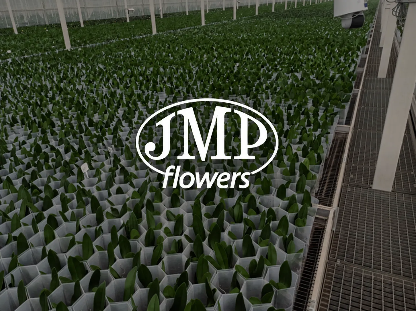 JMP Flowers site photography