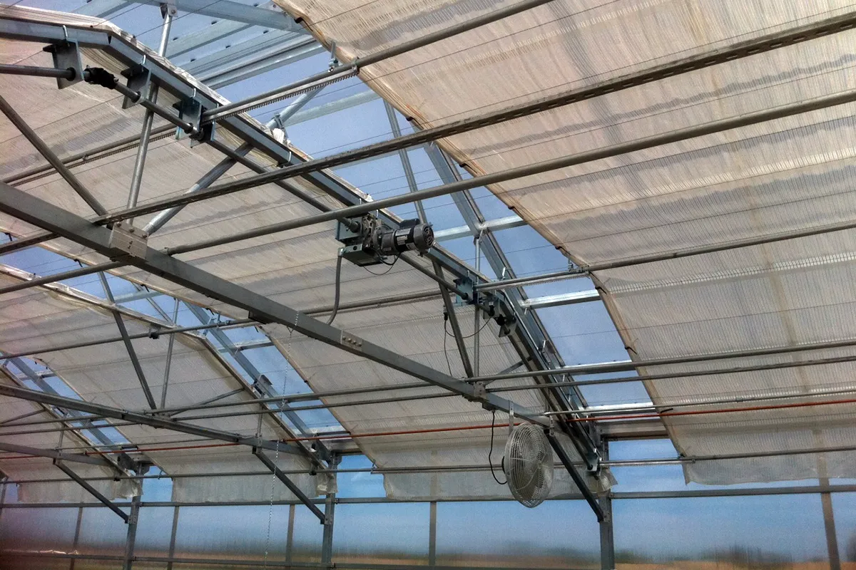 Image Credit: Stuppy Greenhouse