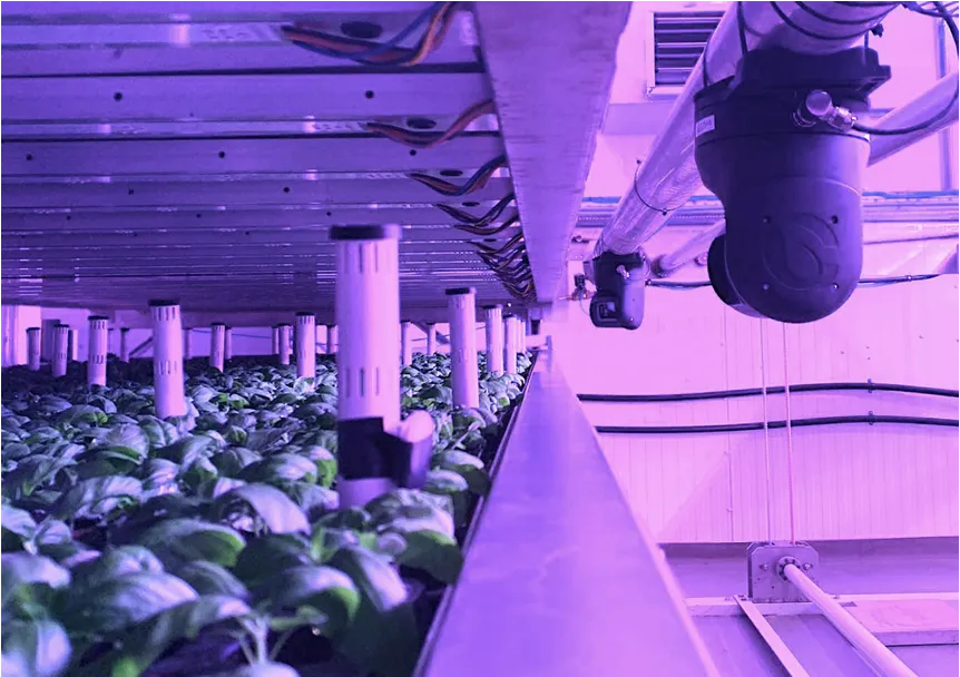 Transforming the climate computer into the plant computer